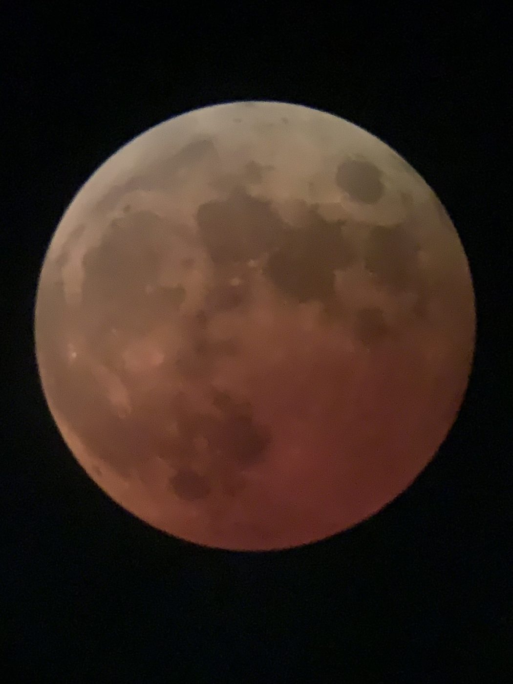 サムネイル写真